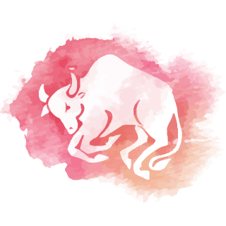 Cung Kim Ngưu Cung Kim Ngưu