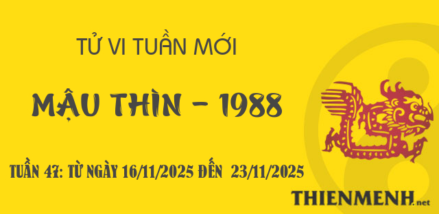 Xem tử vi tuần 47 năm 2025 tuổi Mậu Thìn - 1988