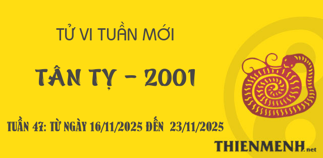 Xem tử vi tuần 47 năm 2025 tuổi Tân Tỵ - 2001