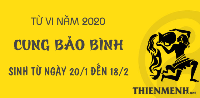 Xem tử vi năm 2020 của cung Bảo Bình