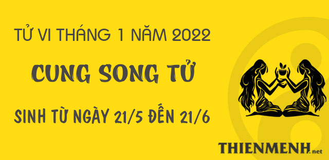 Tử vi tháng 1 năm 2022 cung Song Tử