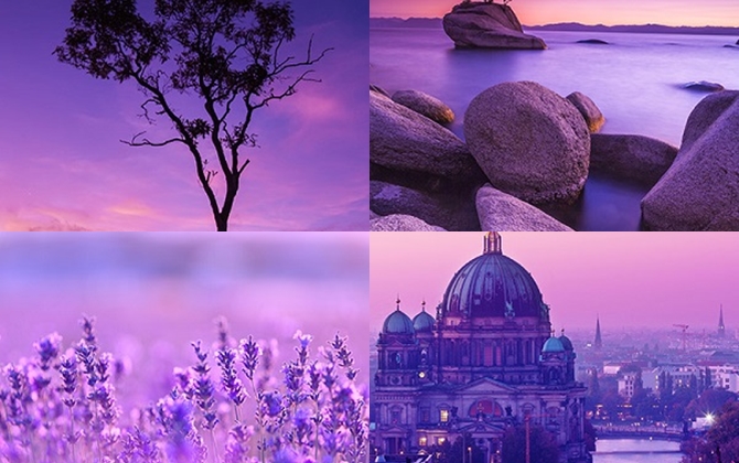 Bản chất con người bạn được thể hiện như nào qua những sắc tím mộng mơ?