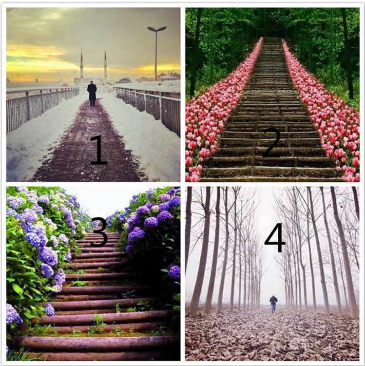 Cuộc đời bạn sẽ ngập tràn trong vui vẻ hay bi quan?