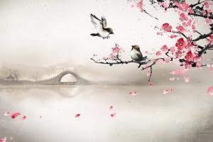 Cốc Vũ: Tiết Khí Mở Đầu Những Cơn Mưa