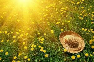 Hạ Chí Và Những Cấm Kị Trong Dân Gian