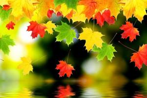 Lập Thu Và Một Số Điều Kiêng Kị