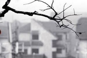 Tiết đông chí và những điều đặc biệt ít người biết