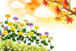 Tiết Hàn Lộ Và Những Tập Tục Thú Vị