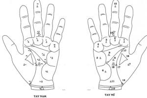 Xem bói Chỉ Tay: 18 Vị Trí Tam Giác trên Lòng bàn tay ý nghĩa gì