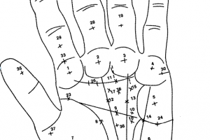 Xem Bói Chỉ Tay: 38 Vị trí chữ Thập trên lòng bàn tay nói lên điều gì