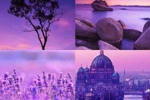 Bản chất con người bạn được thể hiện như nào qua những sắc tím mộng mơ?