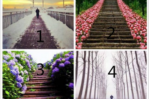 Cuộc đời bạn sẽ ngập tràn trong vui vẻ hay bi quan?