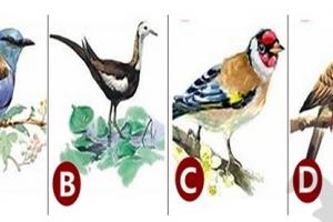 Năm cùng tháng tận, có phải bạn đang gặp hạn xui?