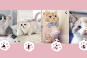 Người khác nghĩ gì về bạn, làm thế nào để họ nói ra?