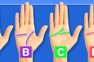 Tính cách bạn được thể hiện như nào qua những đường chỉ tay?