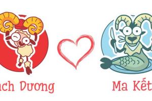 Lý Do Bạch Dương Và Ma Kết Luôn Thu Hút Nhau