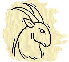 Bói Bài Tarot đưa ra lời khuyên cho Ma Kết trong năm 2022 để thành công