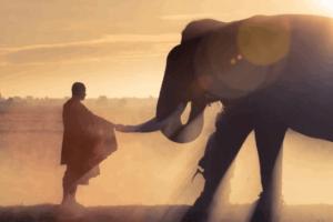 Cách Tránh Ác Nghiệp Và Tạo Nghiệp Tốt