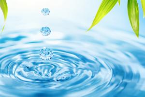 Đặc điểm Các Cung Hoàng Đạo Mang Dấu Hiệu Nước