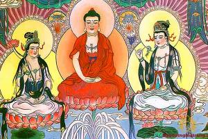 Nghi Thức Tụng Kinh Vô Lượng Thọ