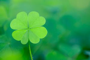 Phước Báu là gì? 10 Cách tạo ra Phước Báu