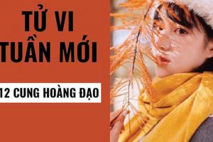 Tử Vi Tuần Mới 12 Cung Hoàng Đạo Từ Ngày 7-03-2022 Đến Ngày 13-03-2022