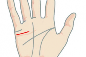 Xem Chỉ Tay: Bói Đường Tình Duyên (Phần 1)