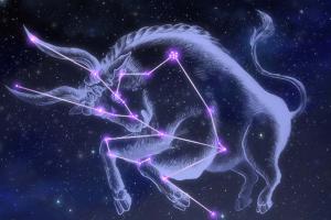 Dấu Hiệu Đang Lên Ở Kim Ngưu: Không Cần Quá Vội Vàng