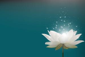 Những Điều Cần Biết Về Nghiệp Tiêu Cực