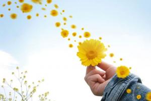 10 Dấu Hiệu Cho Thấy Bạn Có Một Tâm Hồn Đẹp