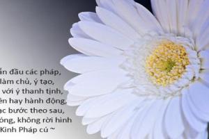 6 Biểu Hiện của người tu tập đúng - Thầy Tánh Tuệ