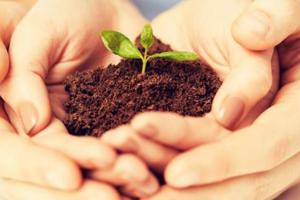 Những Điều Cần Biết Về Các Dấu Hiệu Thuộc Nguyên Tố Đất