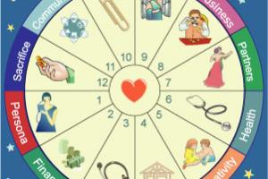 Tìm Hiểu 12 Ngôi Nhà Trong Biểu Đồ Sinh