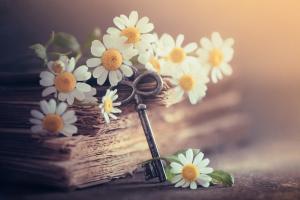 Tử Vi Tuần Mới 12 Cung Hoàng Đạo Từ Ngày 25-7-2022 Đến Ngày 31-7-2022