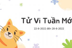 Tử Vi Tuần Mới 12 Cung Hoàng Đạo Từ Ngày 22-8-2022 Đến Ngày 28-8-2022