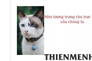 10 Điềm Báo Động Vật Và Dấu Hiệu Bạn Nên Biết