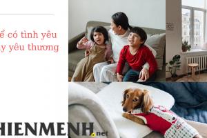 12 Luật Nghiệp Báo Ảnh Hưởng Tới Đời Sống Của Chúng Ta