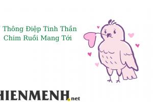 7 Thông Điệp Tinh Thần Do Chim Ruồi Mang Tới