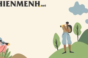 Cây Kim Tiền Thu Hút Tài Lộc, Thịnh Vượng