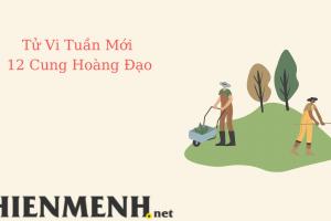 Tử Vi Tuần Mới 12 Cung Hoàng Đạo Từ Ngày 17-10-2022 đến ngày 23-10-2022