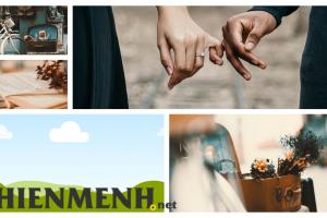 Khả Năng Tương Thích Của Kim Ngưu Và Xử Nữ