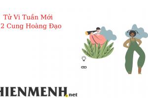 Tử Vi Tuần Mới 12 Cung Hoàng Đạo Từ Ngày 7-11-2022 đến ngày 14-11-2022