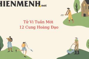 Tử Vi Tuần Mới 12 Cung Hoàng Đạo Từ Ngày 05-12-2022 đến ngày 11-12-2022