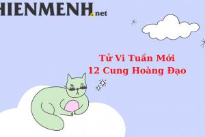Tử Vi Tuần Mới 12 Cung Hoàng Đạo Từ Ngày 13-2-2023 đến ngày 19-2-2023