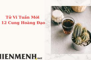 Tử Vi Tuần Mới 12 Cung Hoàng Đạo Từ Ngày 20-3-2023 đến ngày 26-3-2023