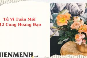 Tử Vi Tuần Mới 12 Cung Hoàng Đạo Từ Ngày 1-5-2023 đến ngày 7-5-2023