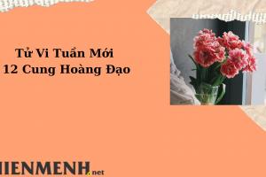 Tử Vi Tuần Mới 12 Cung Hoàng Đạo Từ Ngày 15-5-2023 đến ngày 21-5-2023