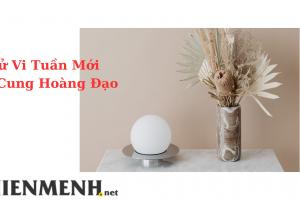 Tử Vi Tuần Mới 12 Cung Hoàng Đạo Từ Ngày 29-5-2023 đến ngày 4-6-2023