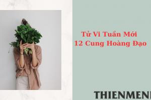 Tử Vi Tuần Mới 12 Cung Hoàng Đạo Từ Ngày 8-5-2023 đến ngày 14-5-2023