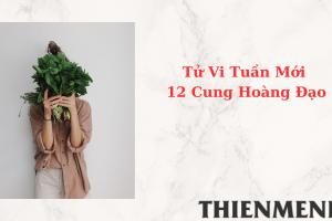 Tử Vi Tuần Mới 12 Cung Hoàng Đạo Từ Ngày 19-6-2023 đến ngày 25-6-2023